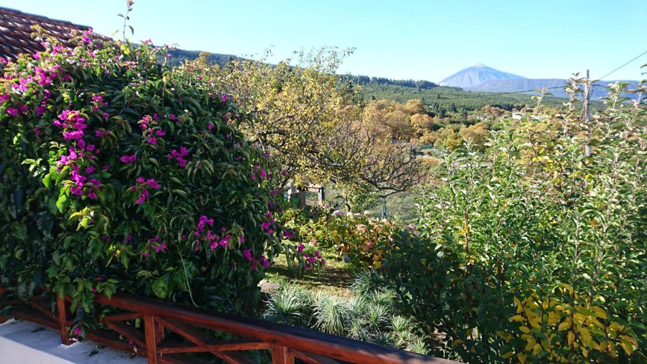 El Pajar De Ines Guest House La Orotava Luaran gambar